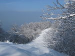 冬天里的雪景