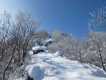 冬天里的雪景