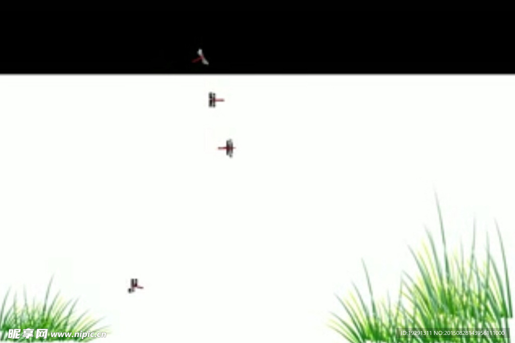 小草蜻蜓视频
