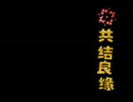 婚礼祝福语视频
