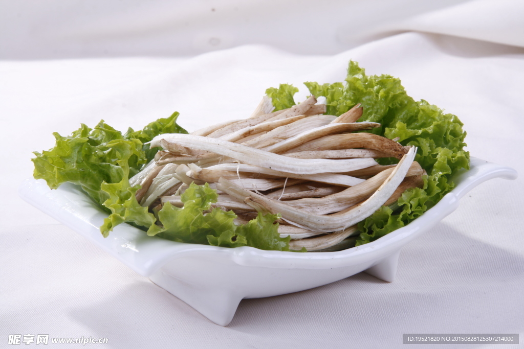 茶树菇
