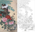 白鸽 牡丹