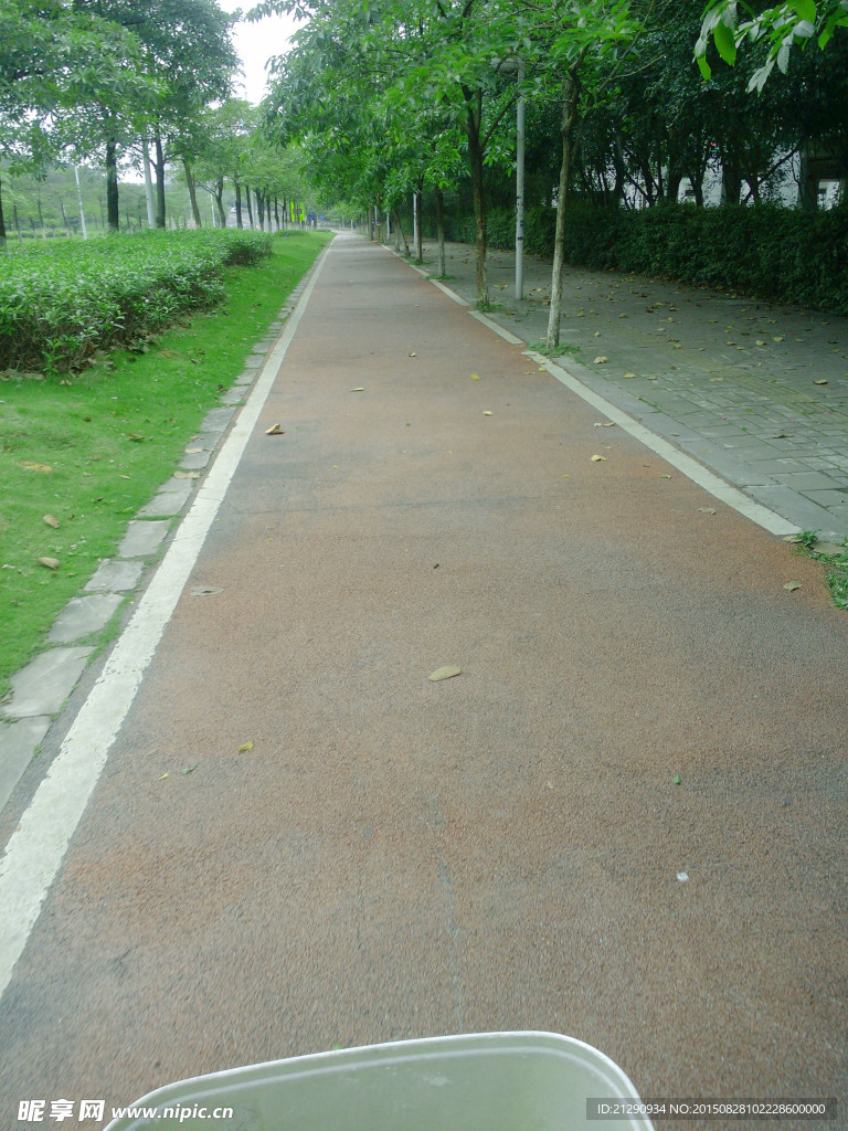 小路