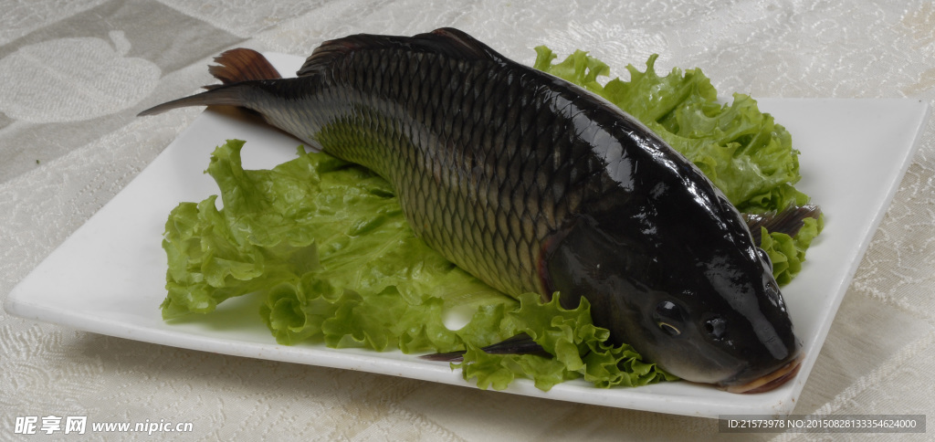 鲤鱼片