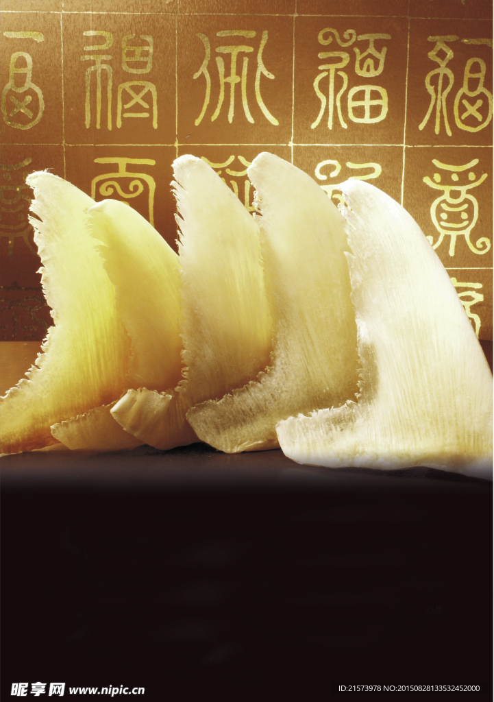 鱼翅