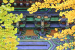 中山公园