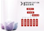 公司架构图