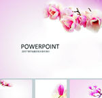 鲜花PPT