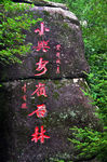 汤旺河森林公园