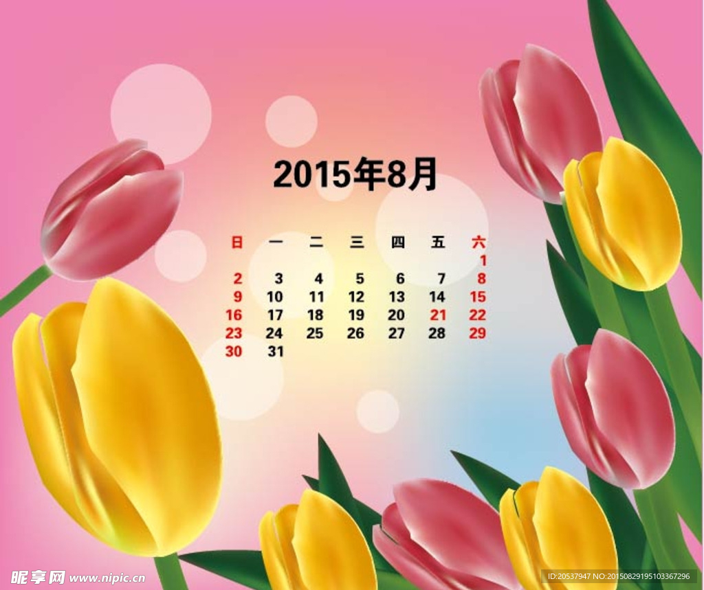 郁金香 日历