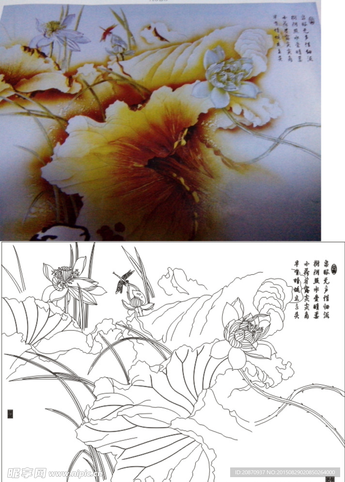 荷花