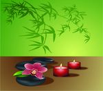 黑石绿叶无框画
