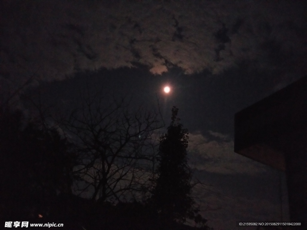 月夜