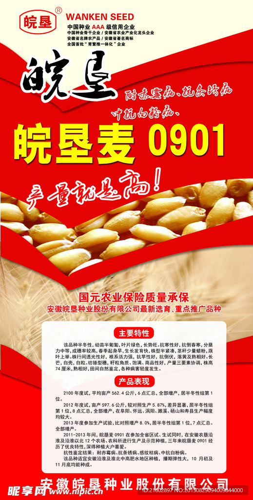 小麦宣传展架
