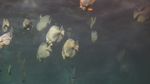 海洋馆
