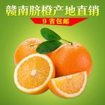 橙主图设计
