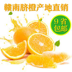 橙主图设计