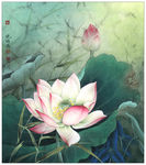 李晓明工笔荷花高清图