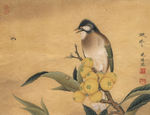 李晓明工笔花鸟高清图