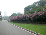 公园  路口