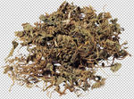 线描草药 素材