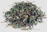 线状草药素材