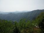 大山绿树