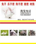 批发名片