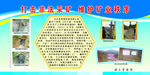 打击非法采矿版面