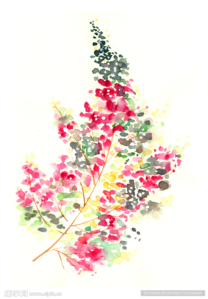 水彩 花卉
