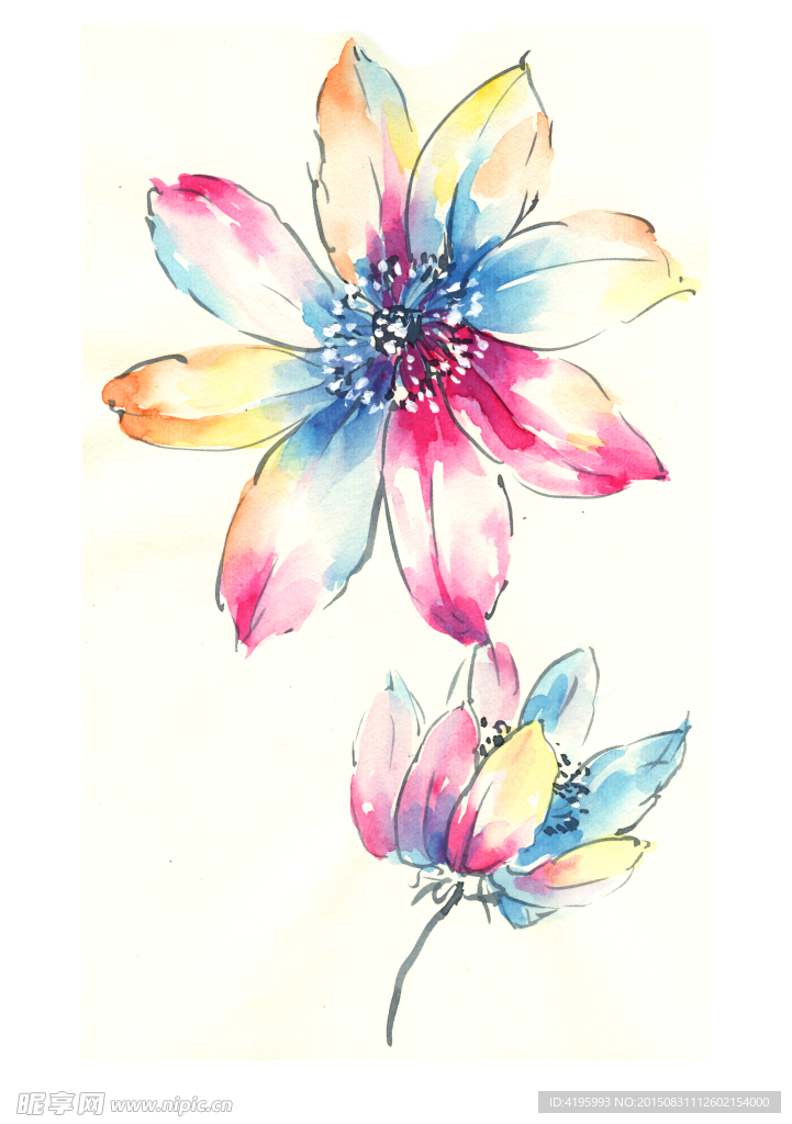 水彩 花卉