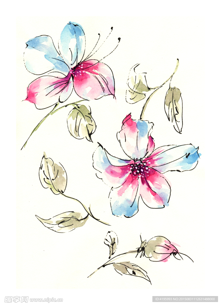 水彩 花卉