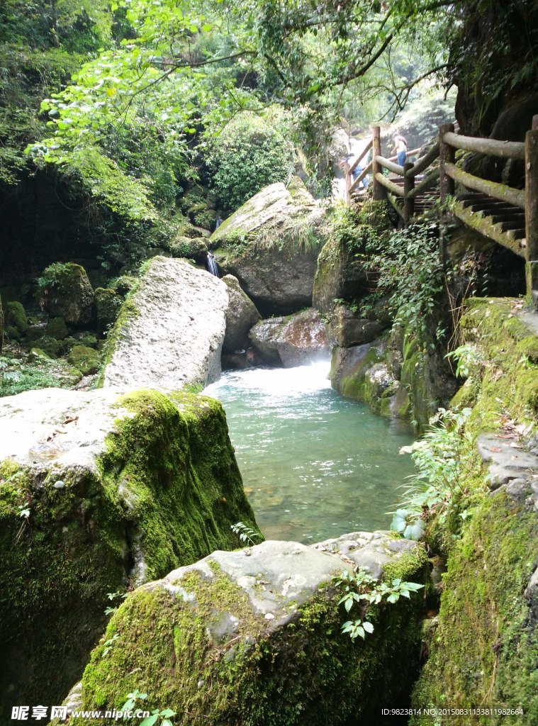 青城后山风景