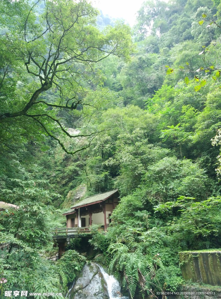 青城后山风景