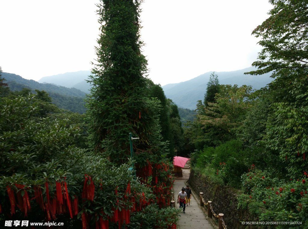 青城后山风景