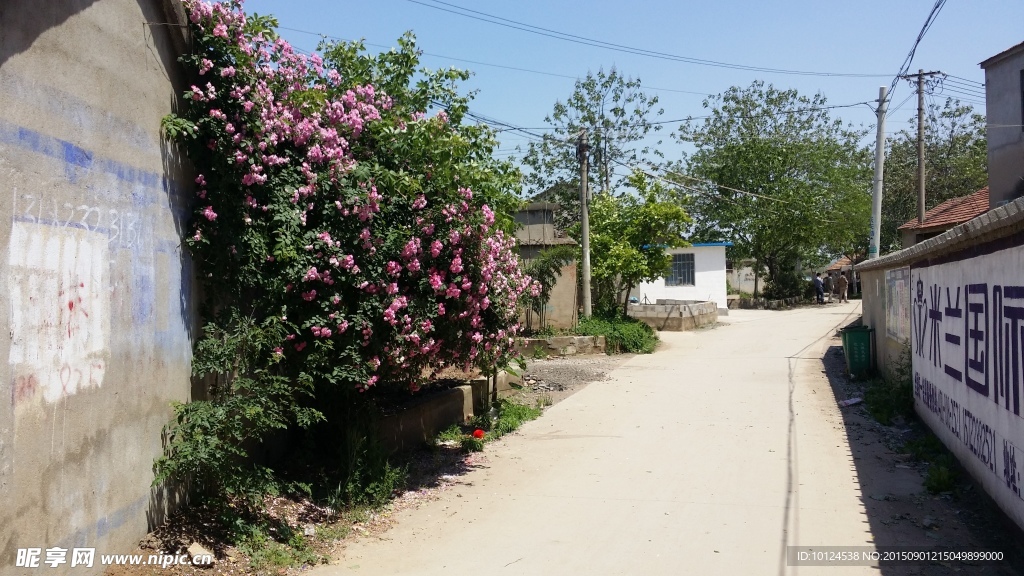 道路农村