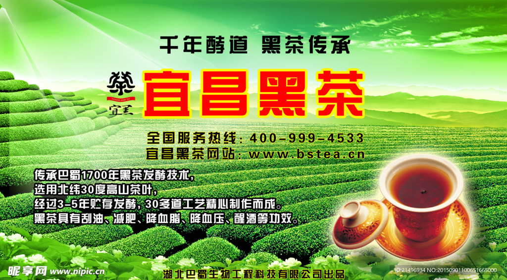 宜昌黑茶