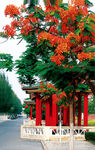 厦门风光集美学村