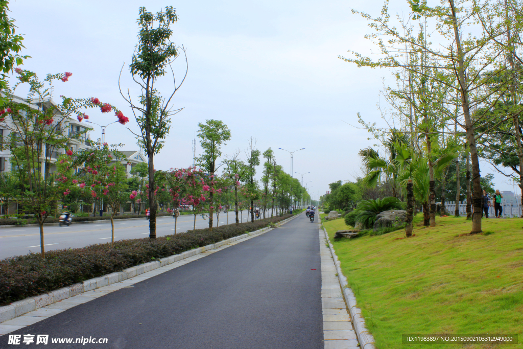 公路隔离带绿化景观