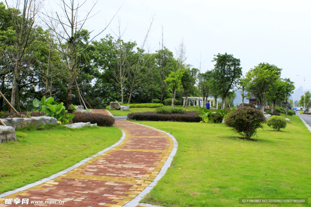 休闲区小路草地