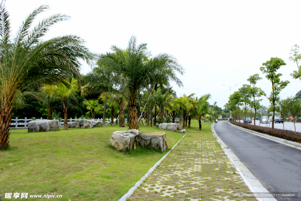 道路山石草地