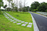 草坪青石板道路