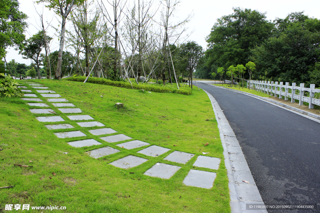 草坪青石板道路