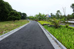 柏油路走道