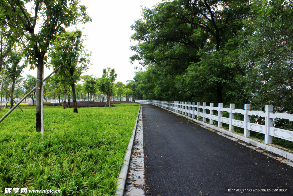 绿化带柏油路