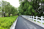 柏油路石护栏