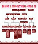 国标红木五属八类
