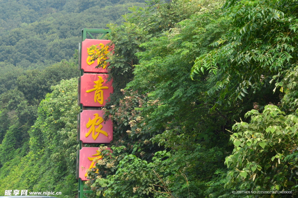 踏青农庄