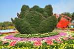花卉
