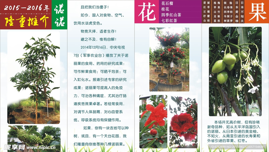 农场